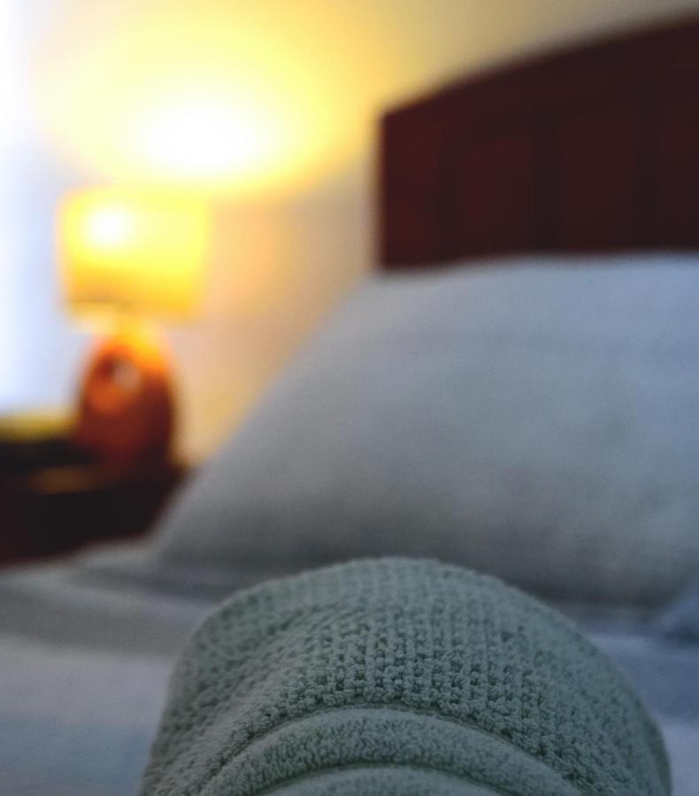Santiago Furnished Apartments Dış mekan fotoğraf